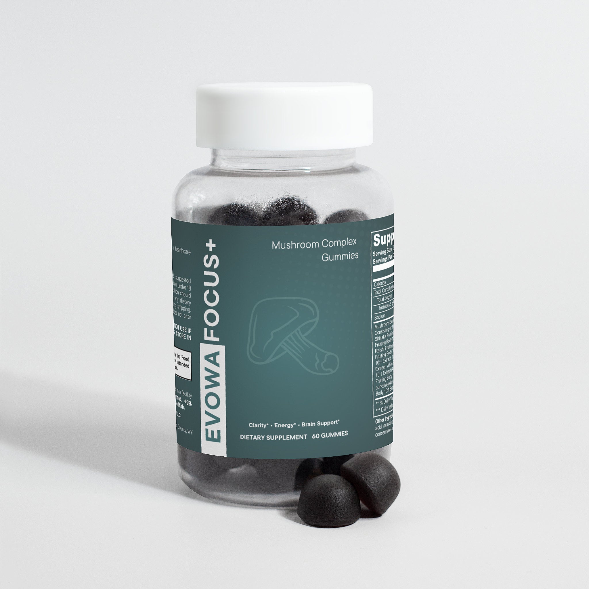 EVOWA FOCUS +