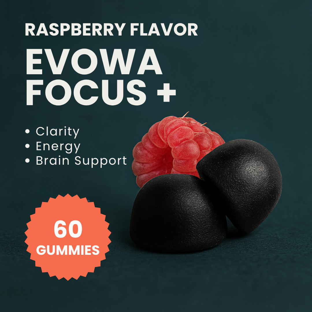 EVOWA FOCUS +